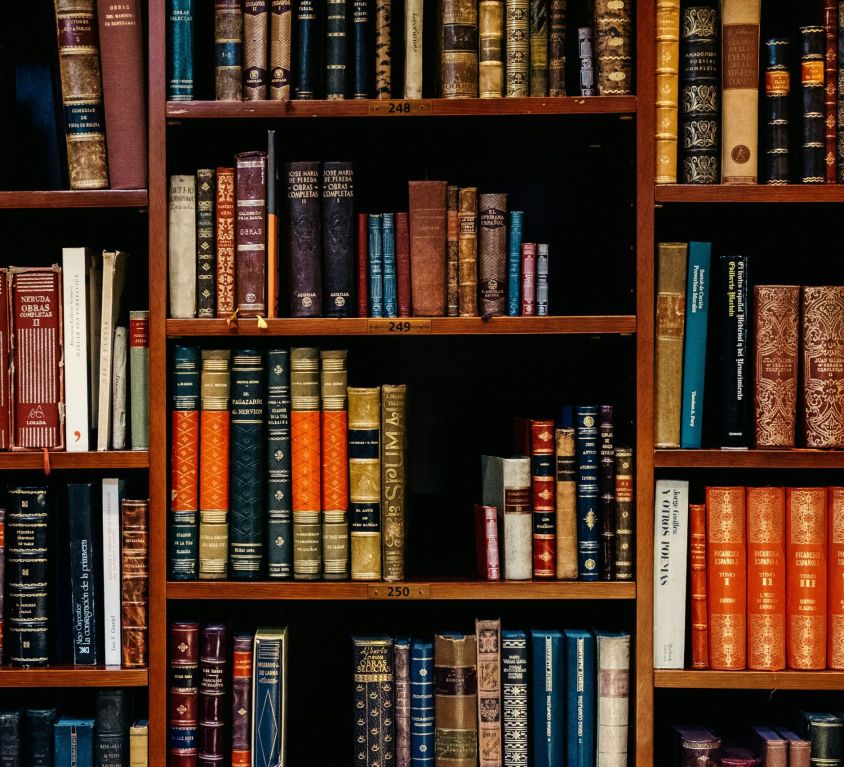inaki-del-olmo-NIJuEQw0RKg-unsplash